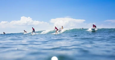 Schools Go Surfing website built by Steve Furley. Custom WordPress site for school surf and ski trips.