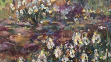 Snowdrops